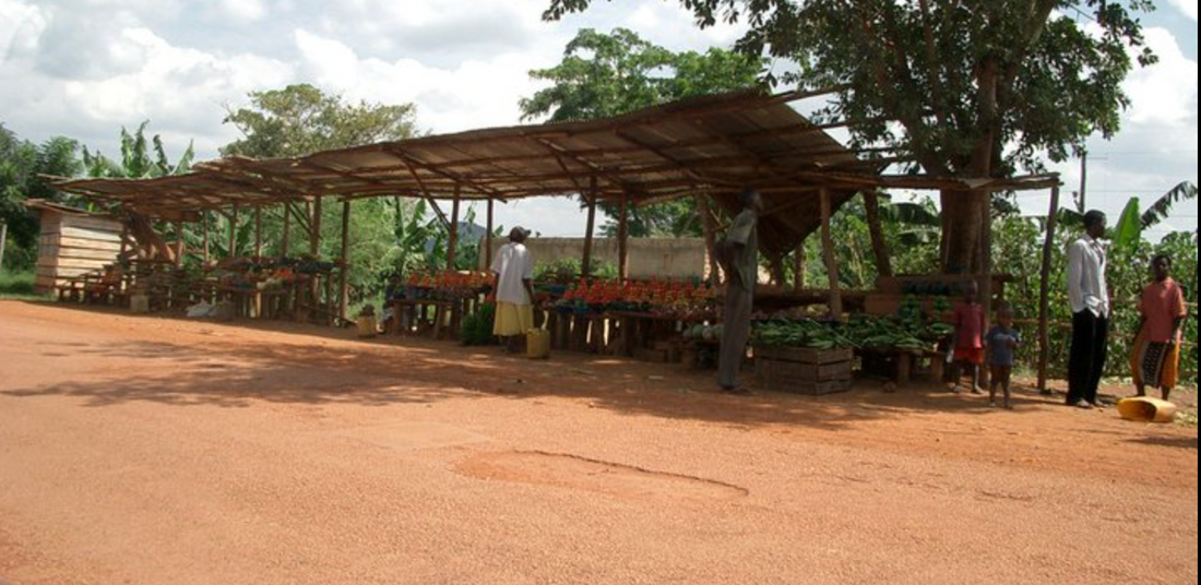 Growing Up Wild: A Childhood in East Africa