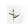 Wholesale Birds of Paradise - Art Greeting Card