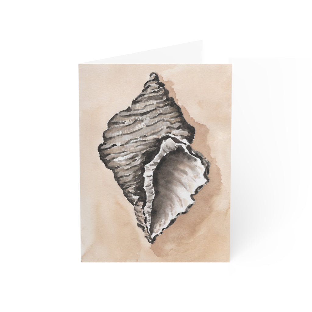 Wholesale Conche shell - Art Greeting Card