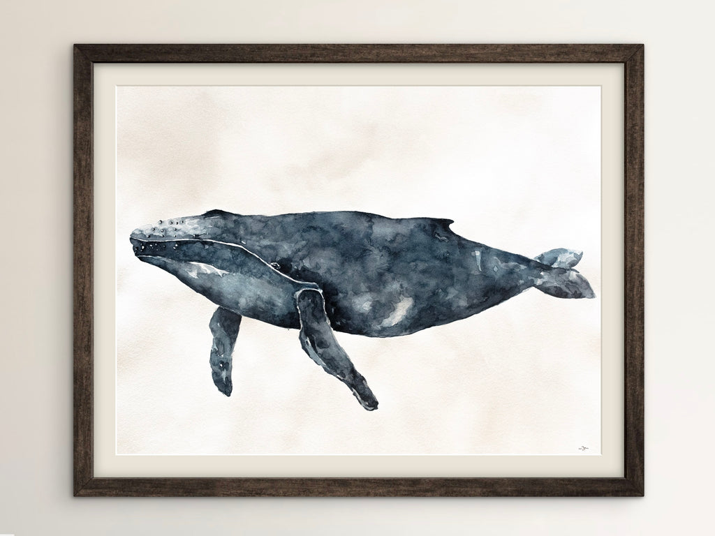 Humpback Whale | Professional Print