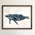 Humpback Whale | Original Watercolor Painting
