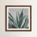 Blue Agave | Original Watercolor Painting