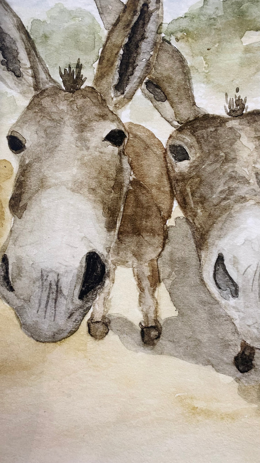 The Donkeys | Professional Print