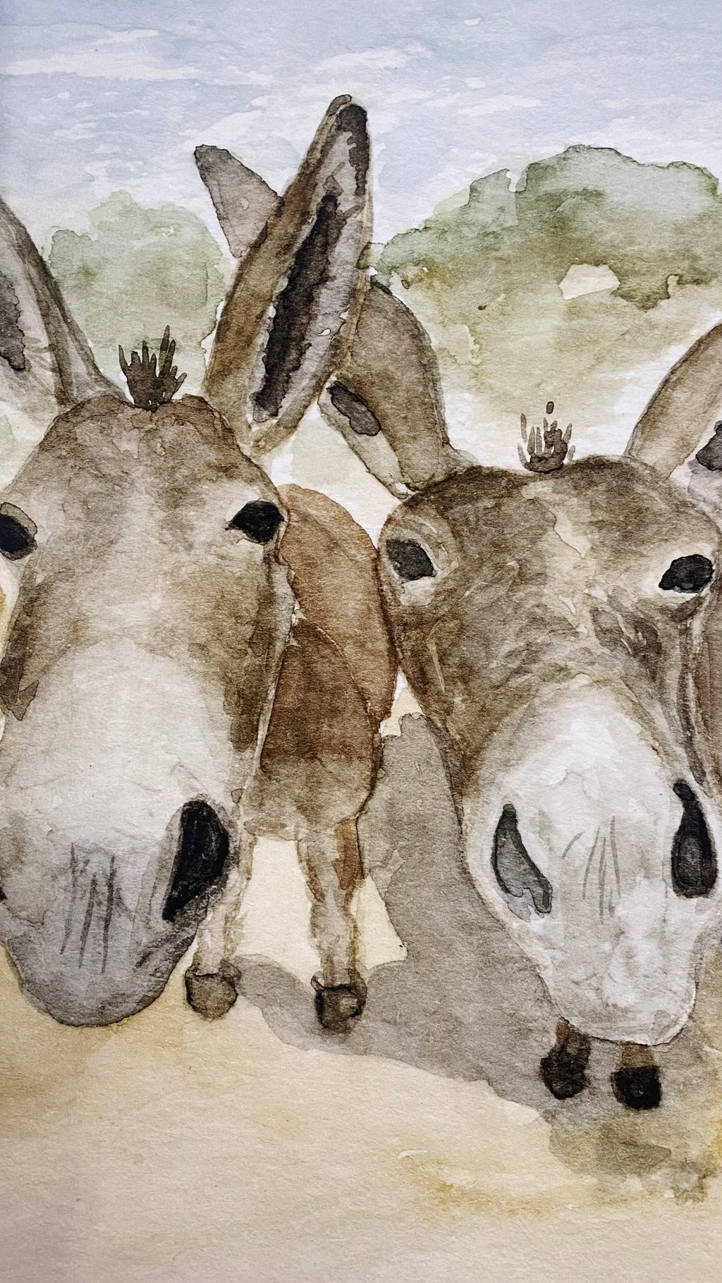 The Donkeys | Professional Print