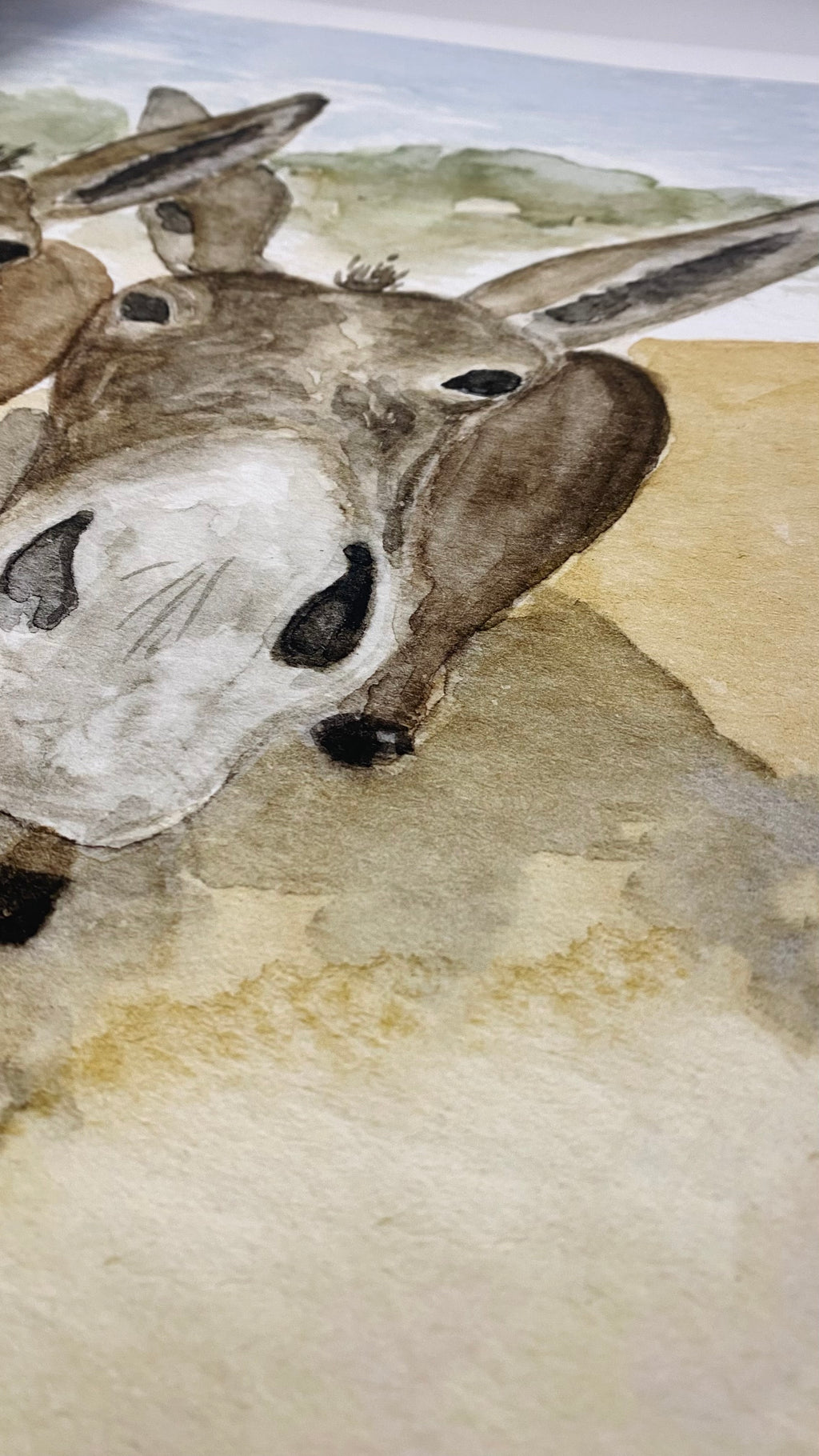 The Donkeys | Professional Print