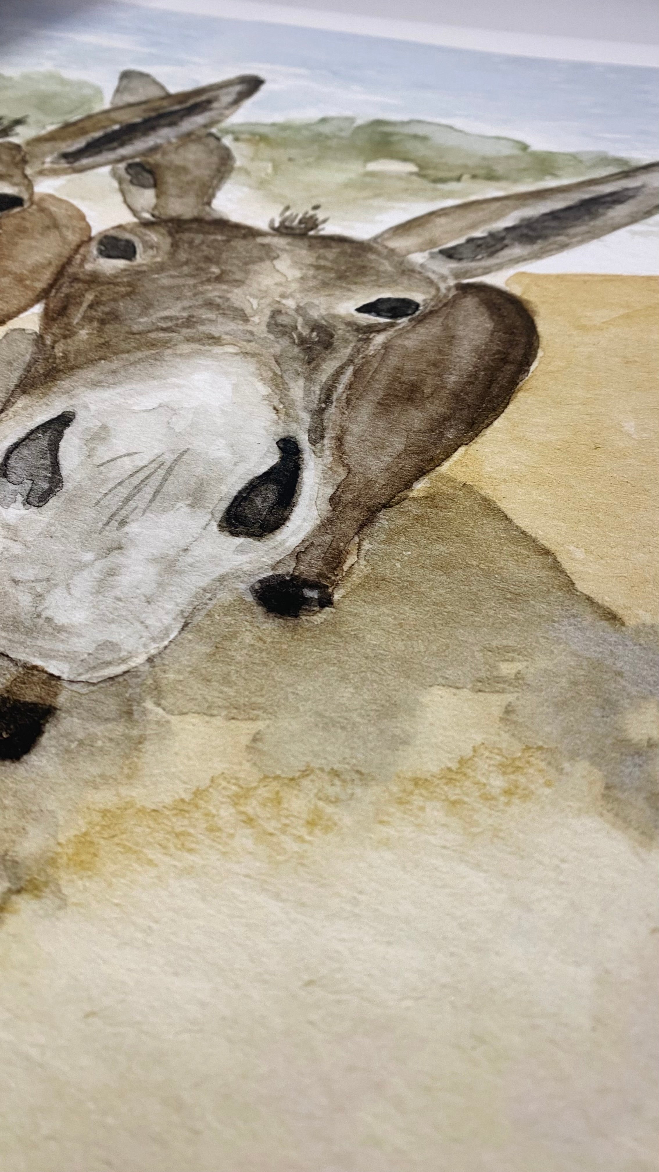 The Donkeys | Professional Print