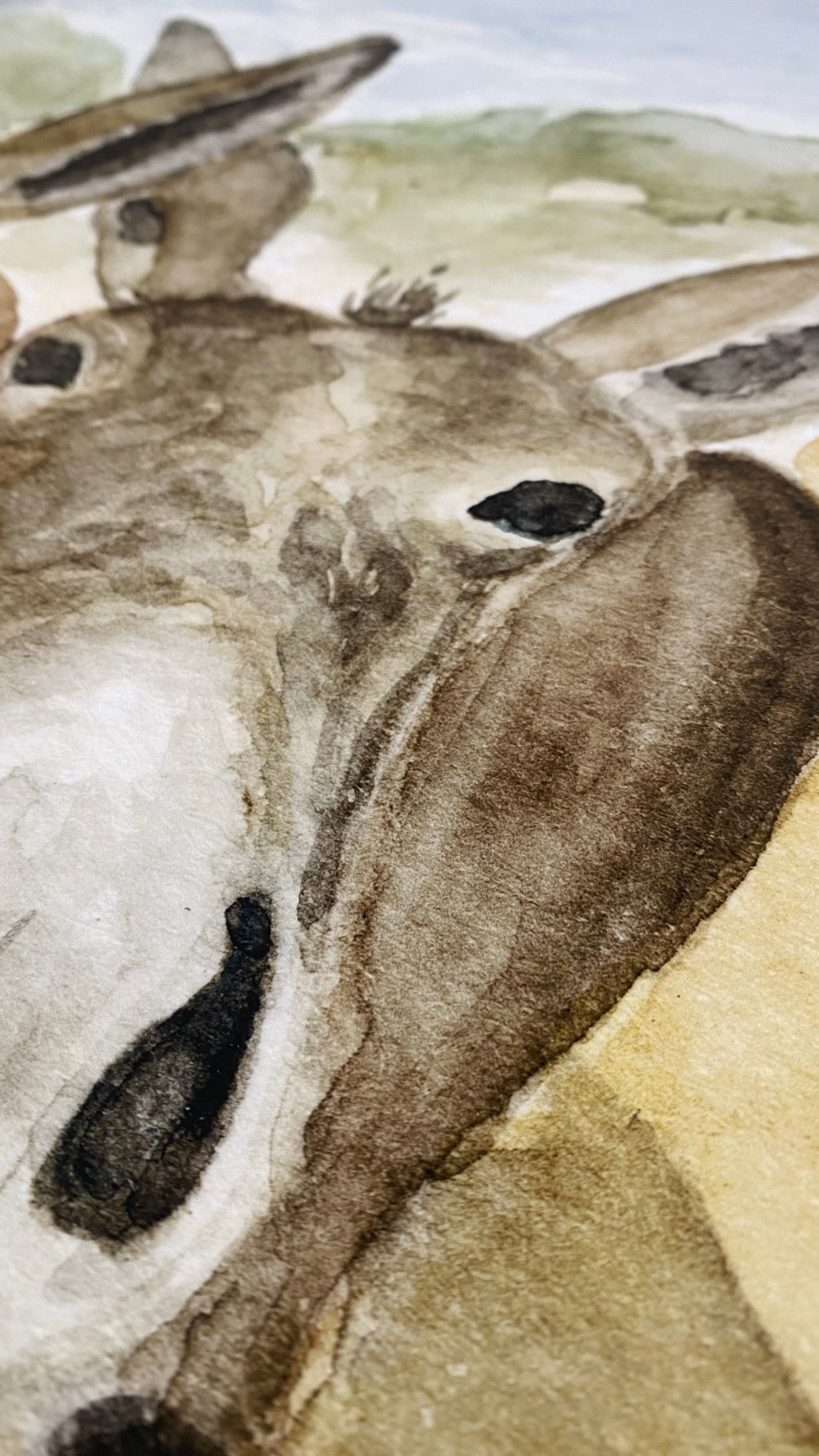 The Donkeys | Professional Print