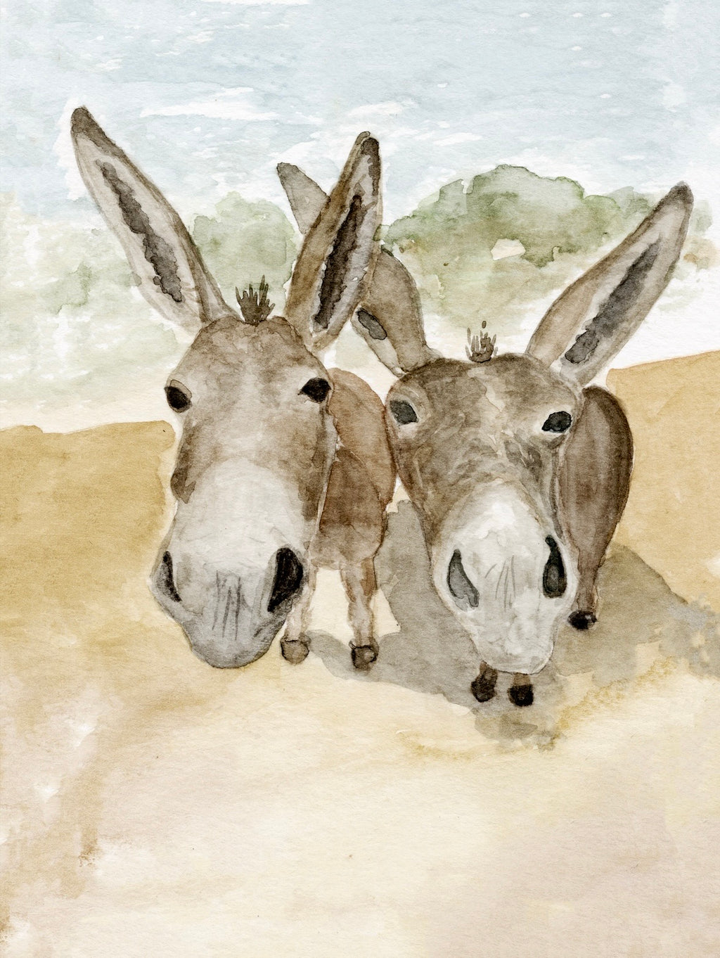 The Donkeys | Professional Print
