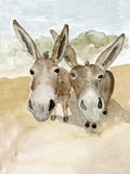 The Donkeys | Professional Print