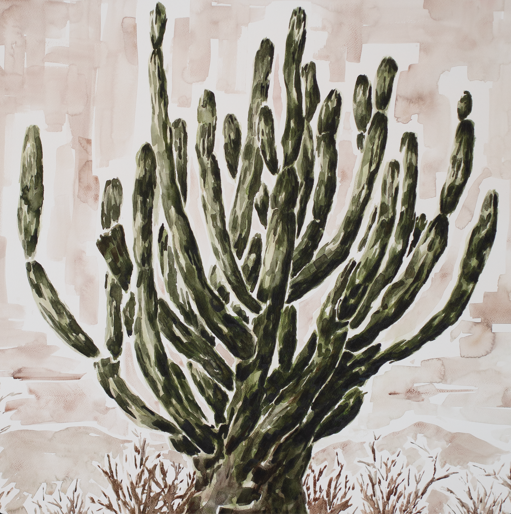 Cardón Cactus | Original Watercolor Painting