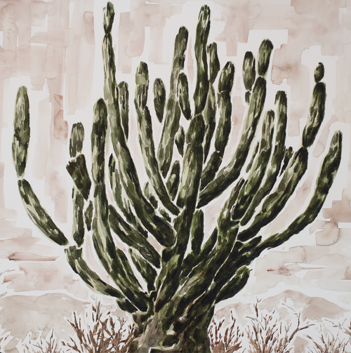 Cardón Cactus | Original Watercolor Painting