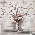 Torote Tree #1 | Professional Print