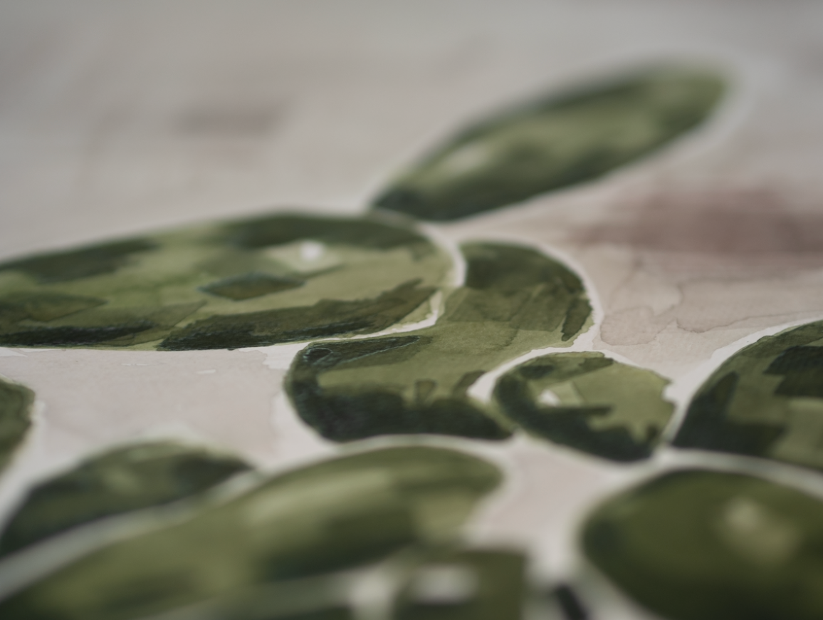 Nopal Cactus Watercolor | Original Watercolor Painting