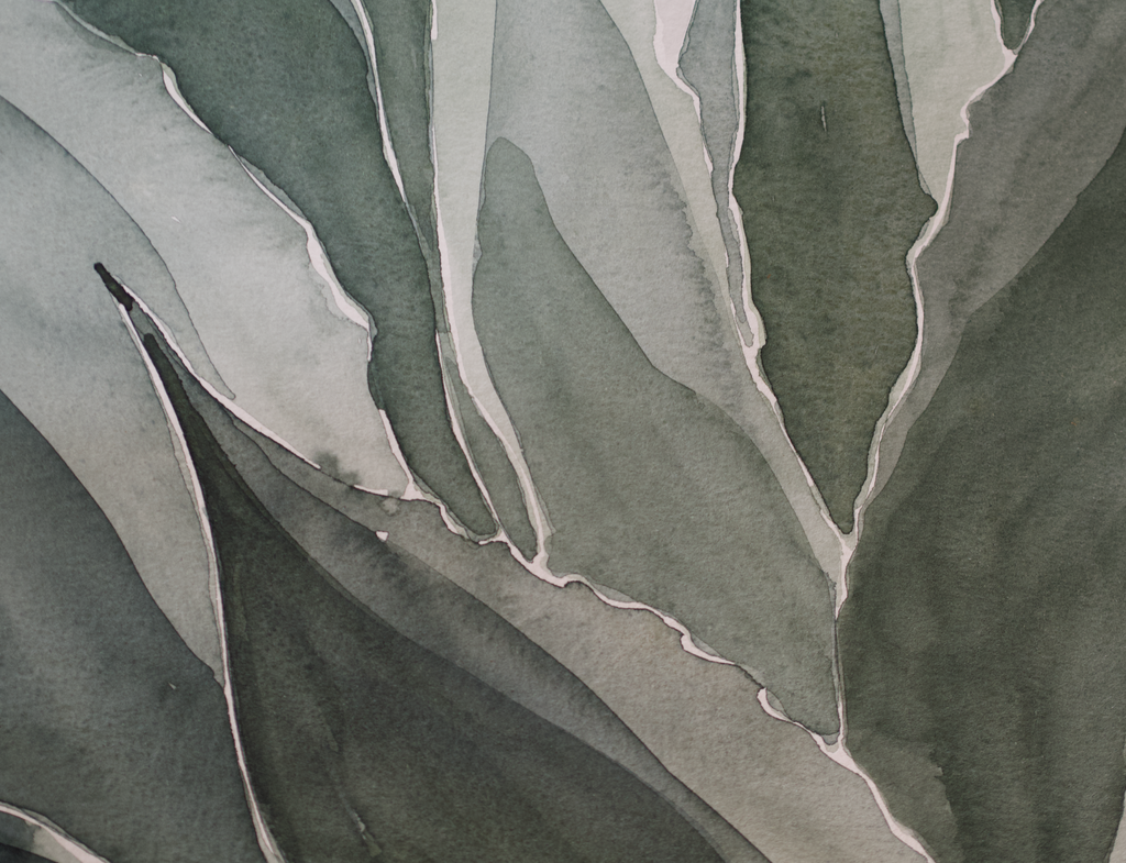 Blue Agave | Original Watercolor Painting