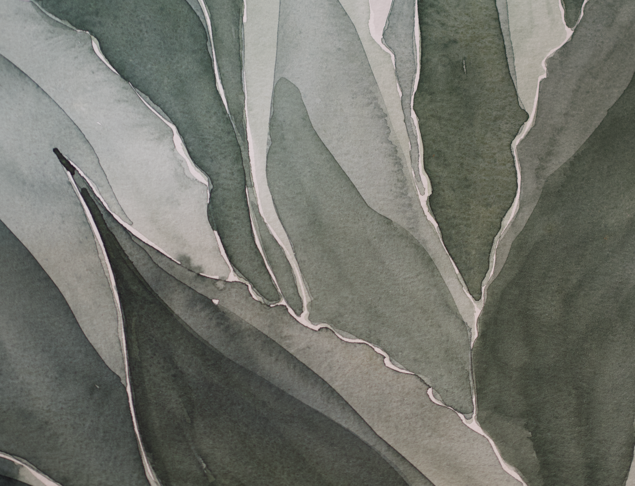 Blue Agave | Original Watercolor Painting