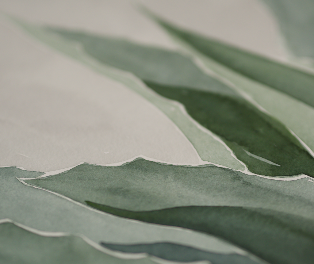 Blue Agave | Original Watercolor Painting