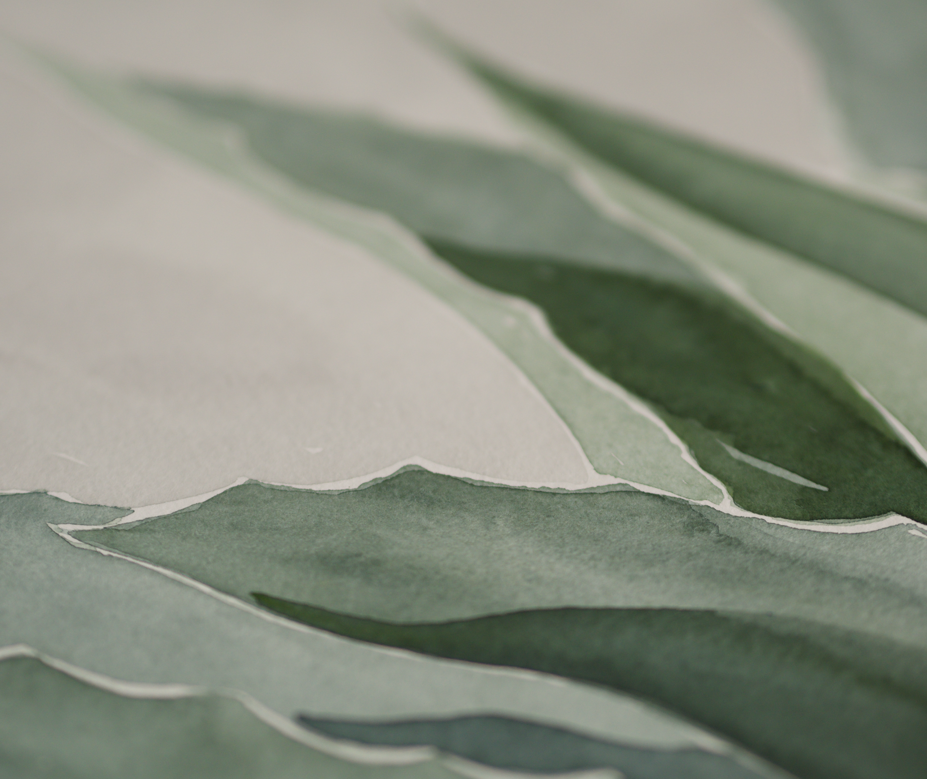 Blue Agave | Original Watercolor Painting