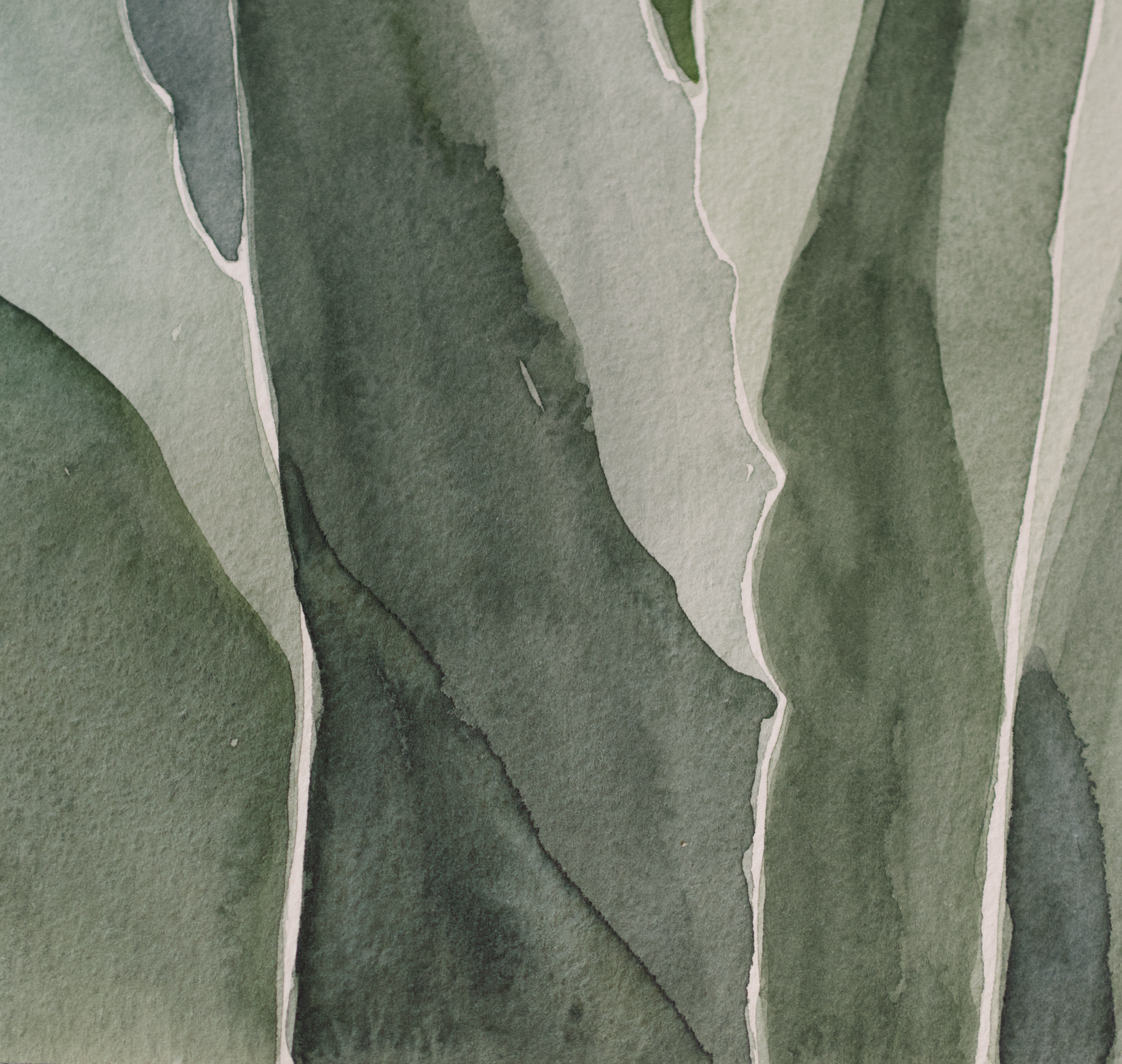 Blue Agave | Original Watercolor Painting