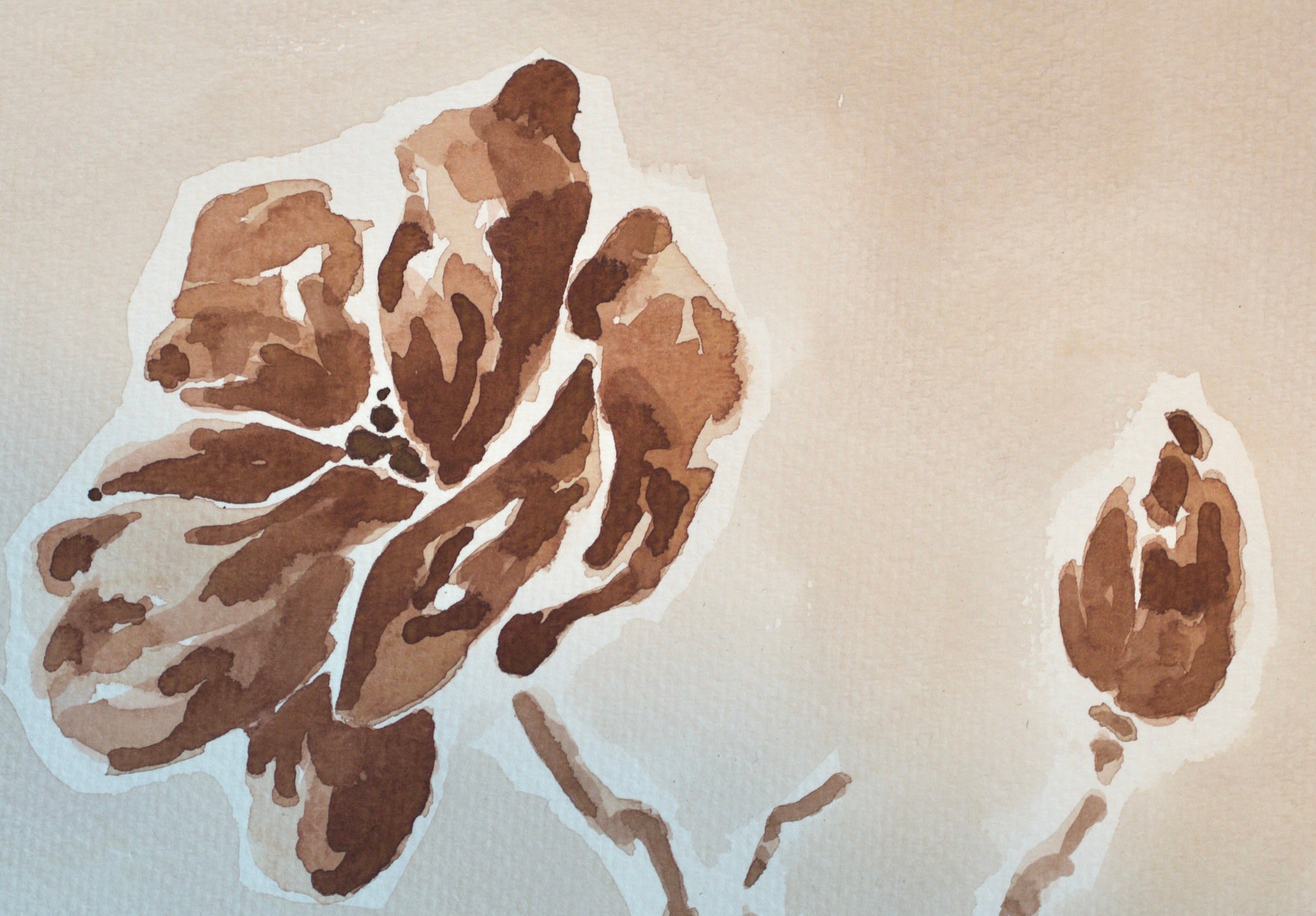 Blooming Magnolia | Original Watercolor Painting