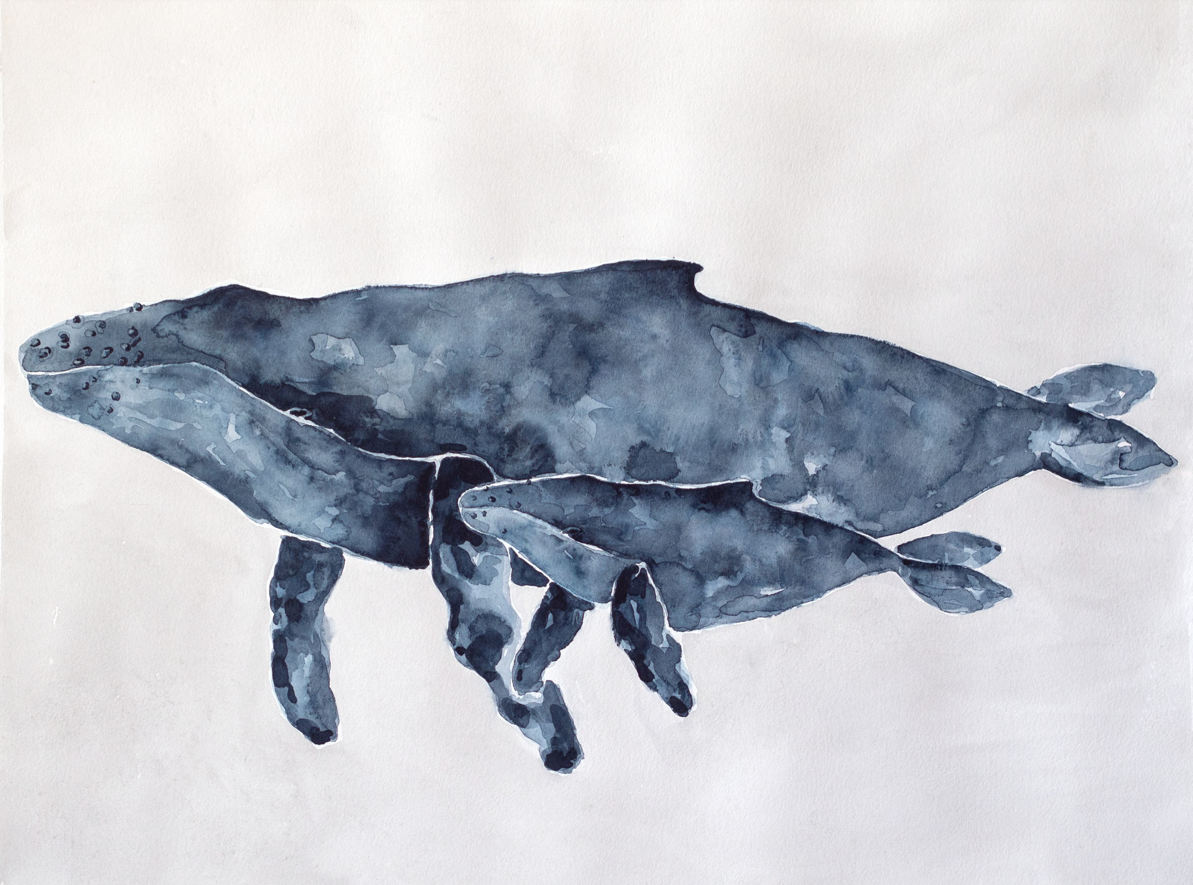Mother and Baby Humback Whales | Original Watercolor Painting