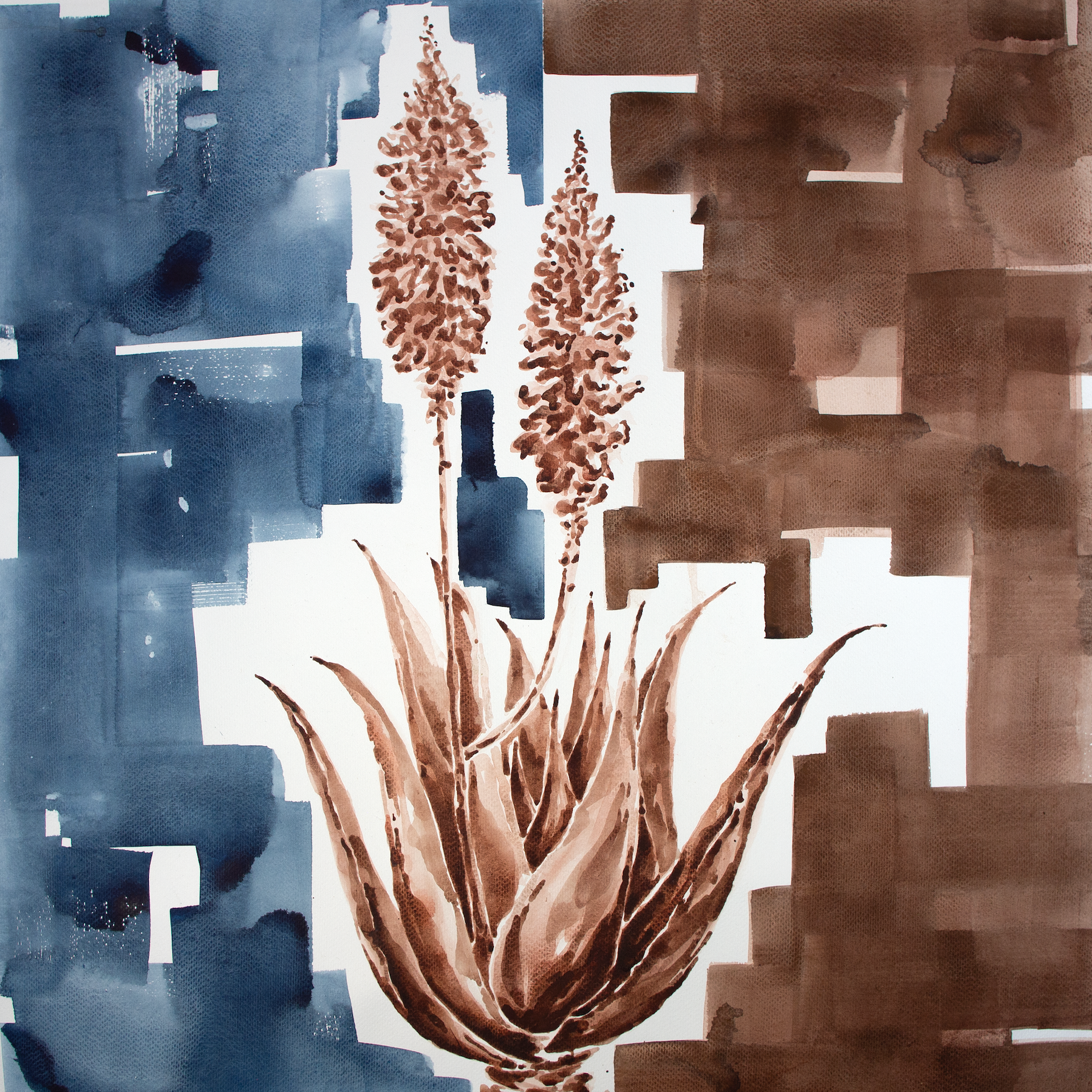 Blooming Aloe Vera | Professional Print