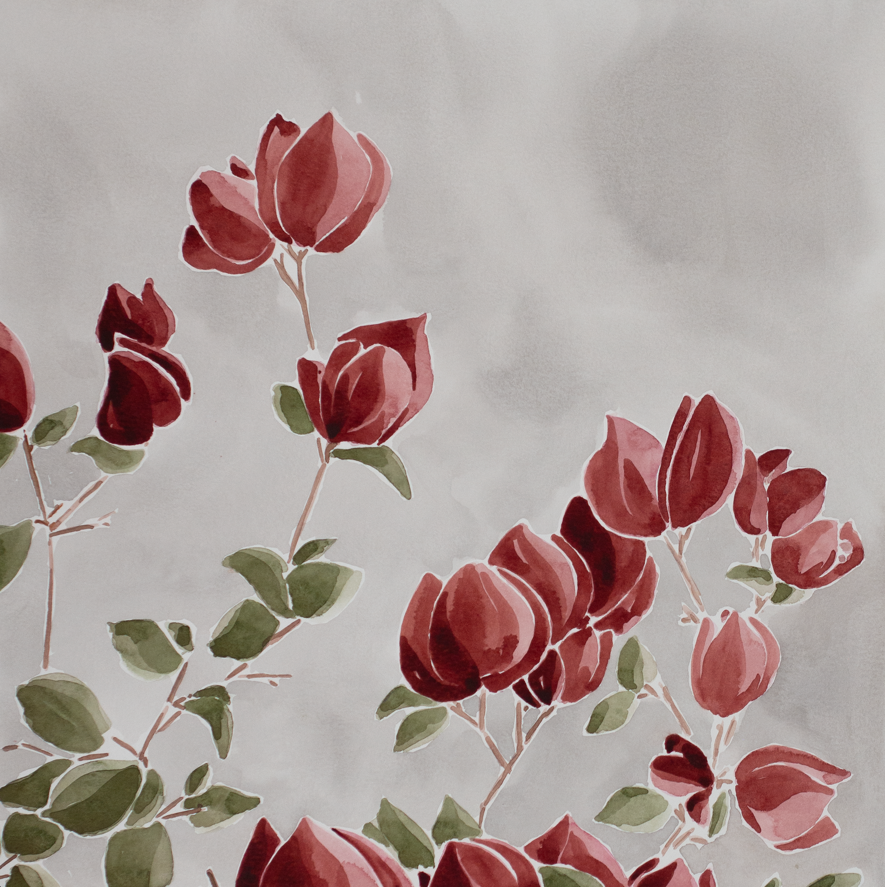 Red Bougainvillea | Original Watercolor Painting