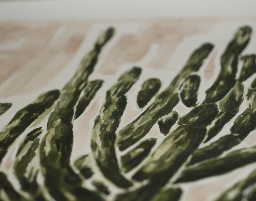 Cardón Cactus | Original Watercolor Painting