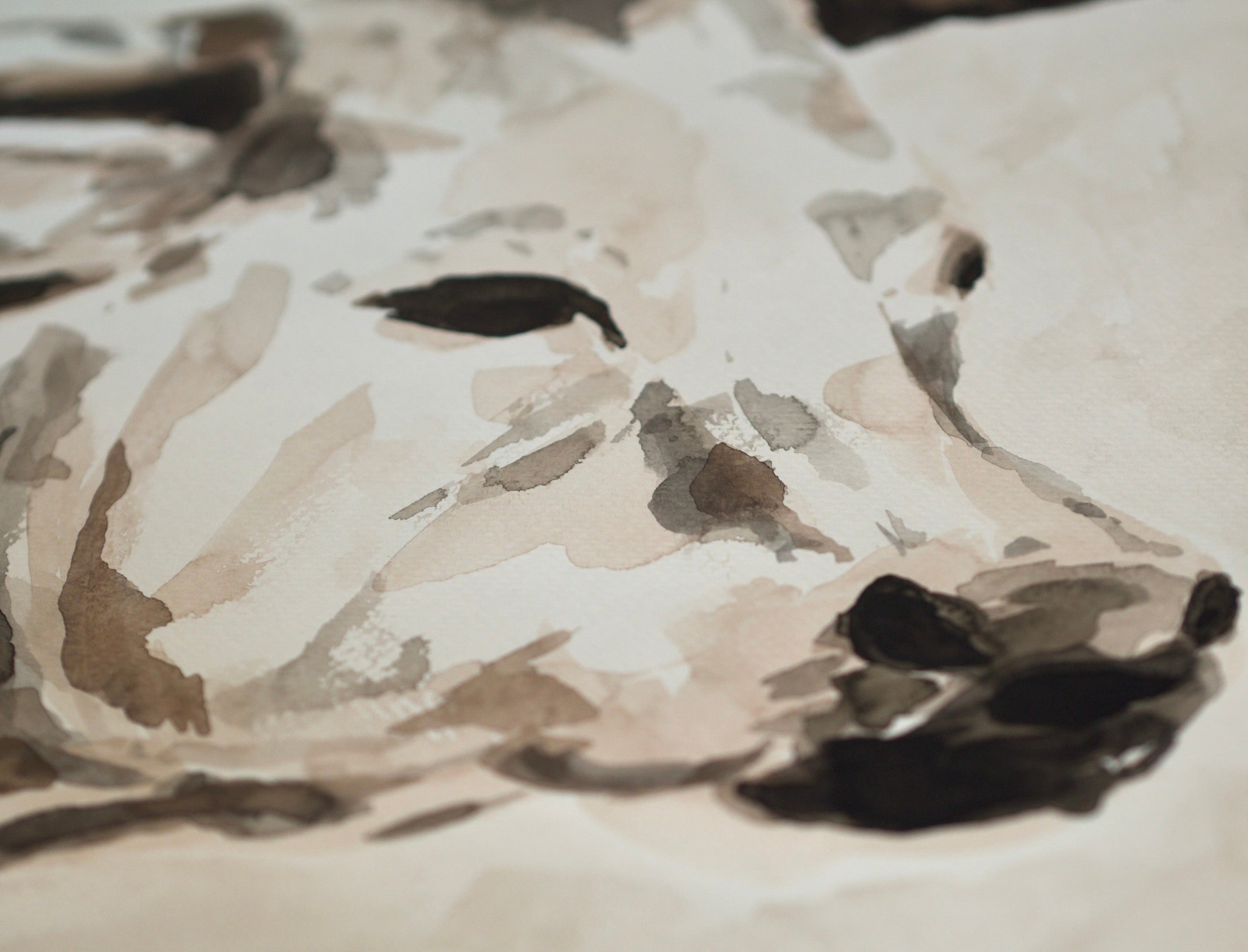 A couple of Cows | Original Watercolor Painting