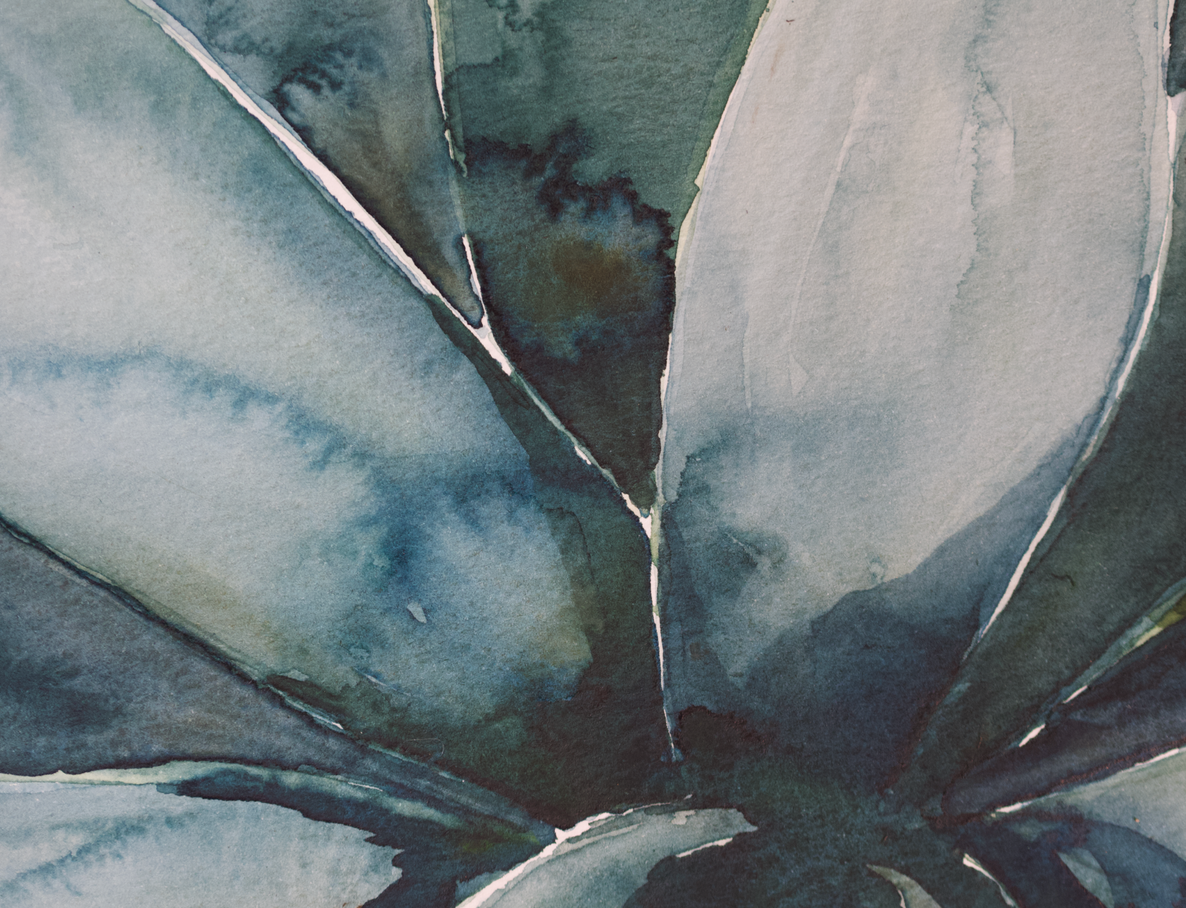 Colorful Agave | Original Watercolor Painting